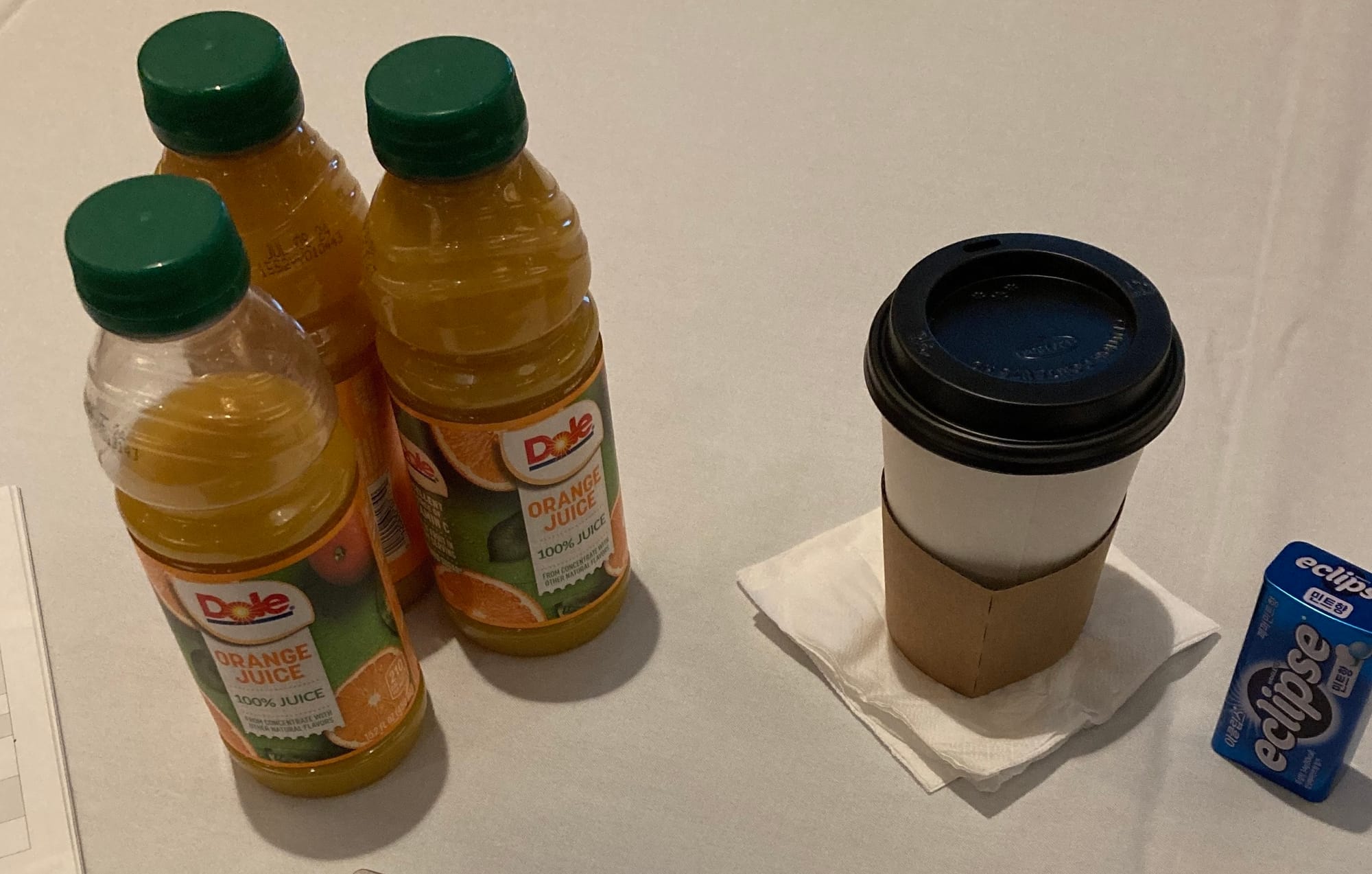 Las Vegas PUBCON 2024 컨퍼런스 출장 후기 by.Lydia